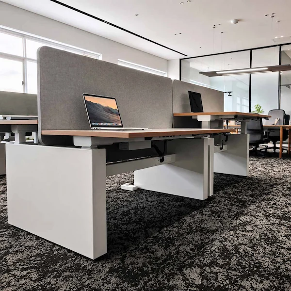 height adjustable office workstation with privacy screens and cable management solution
