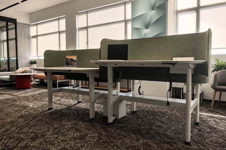 height adjustable workstation with privacy screens in modern office