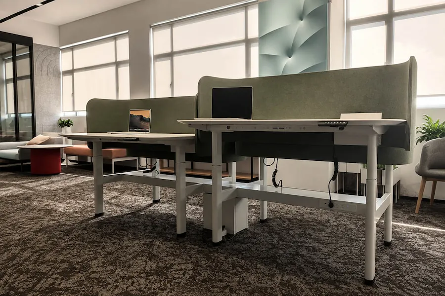 height adjustable workstation with privacy screens in modern office