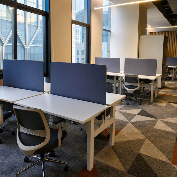 office workstation layout with height adjustable desks and privacy screens for motor system evaluation