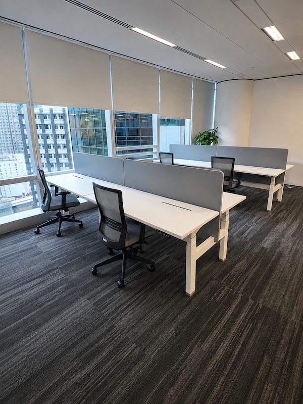 white height adjustable benching desks with gray divider screens in a bright office