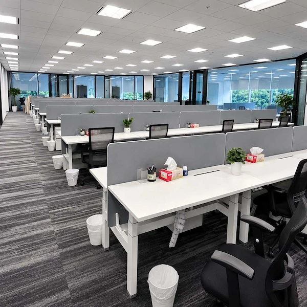 open plan office with rows of white height adjustable workstations gray divider screens task chairs and visible under desk cable management