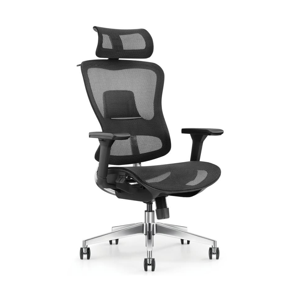 Mesh Office Chairs