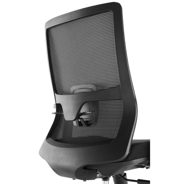 mesh lumbar support for office chair details