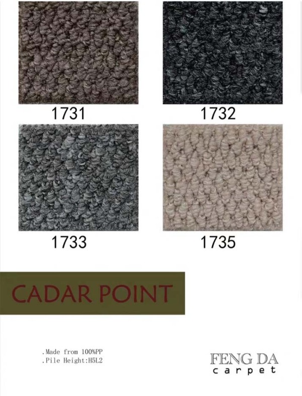 carpet color swatch